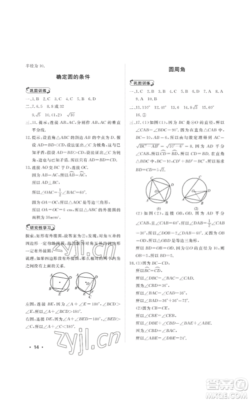 山东人民出版社2022初中卷行知天下九年级上册数学青岛版参考答案