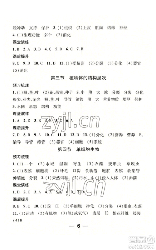 江西教育出版社2022精英新课堂三点分层作业七年级上册生物人教版参考答案 江西教育出版社2022精英新课堂三点分层作业七年级上册生物人教版参考答案