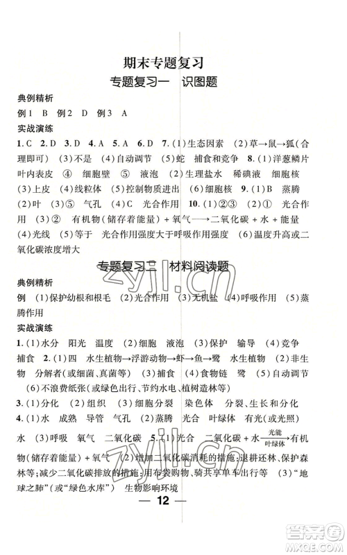 江西教育出版社2022精英新课堂三点分层作业七年级上册生物人教版参考答案 江西教育出版社2022精英新课堂三点分层作业七年级上册生物人教版参考答案