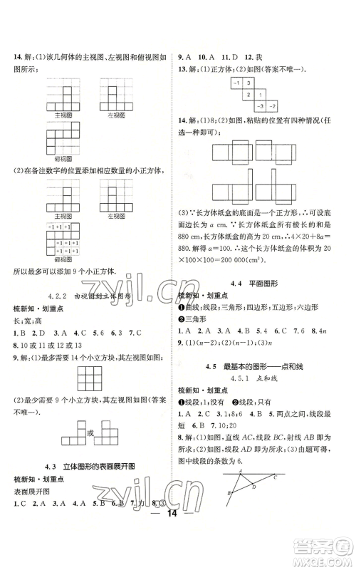 阳光出版社2022精英新课堂七年级上册数学华师大版参考答案