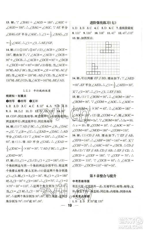 阳光出版社2022精英新课堂七年级上册数学华师大版参考答案