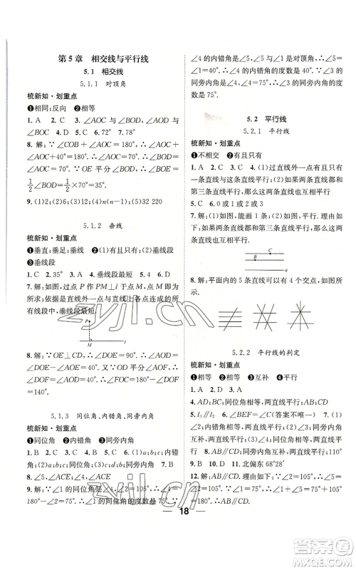 阳光出版社2022精英新课堂七年级上册数学华师大版参考答案