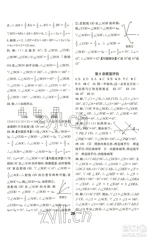 阳光出版社2022精英新课堂七年级上册数学华师大版参考答案