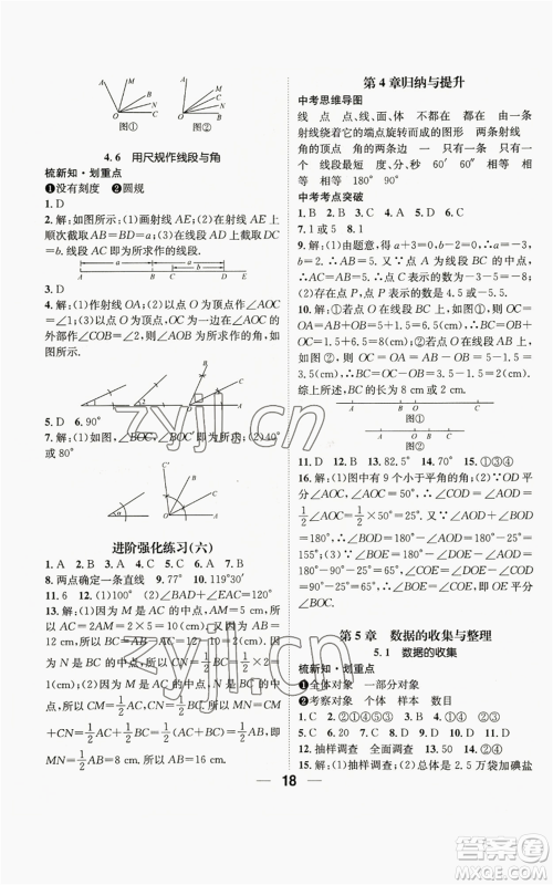 阳光出版社2022精英新课堂七年级上册数学沪科版参考答案