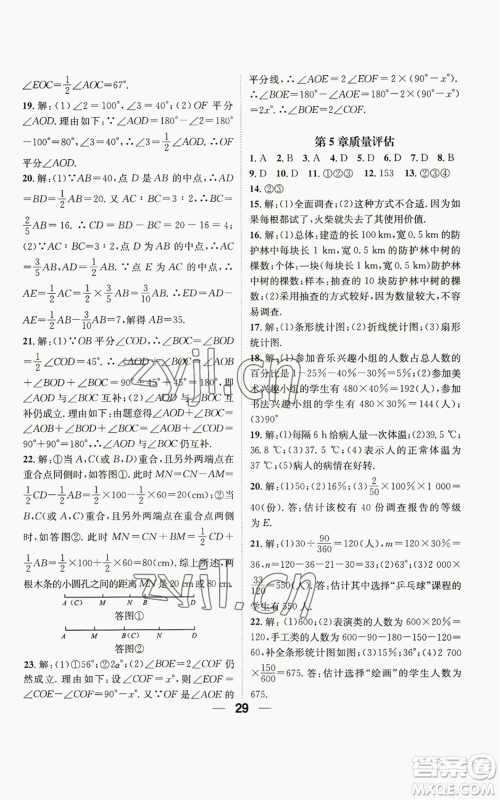 阳光出版社2022精英新课堂七年级上册数学沪科版参考答案