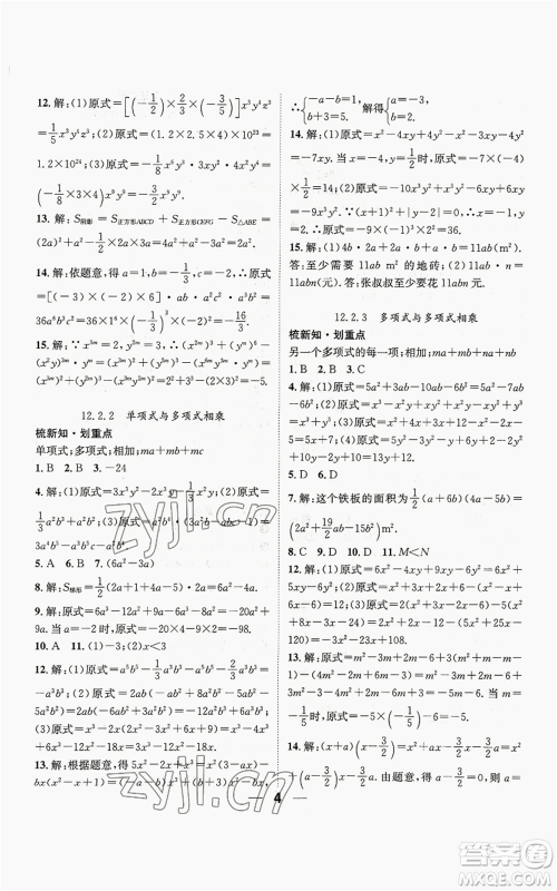 阳光出版社2022精英新课堂八年级上册数学华师大版参考答案