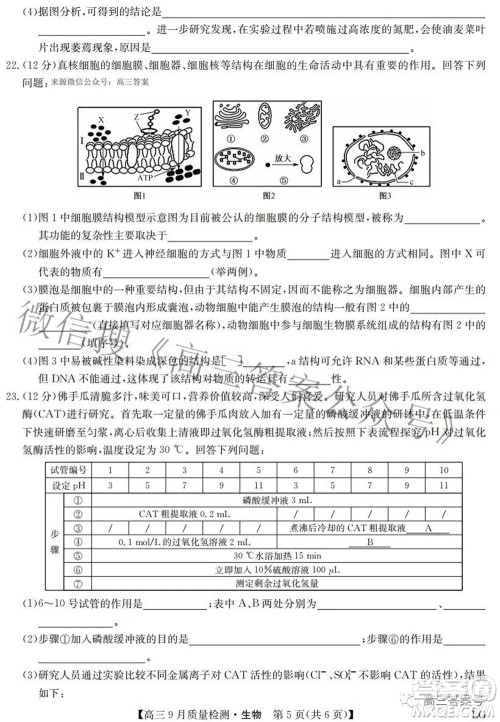 2023届九师联盟高三9月质量检测巩固卷LG生物试题及答案