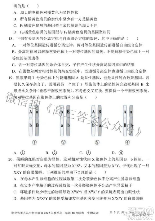 湖北省重点高中智学联盟2022年秋季高三年级10月联考生物试题及答案 湖北省重点高中智学联盟2022年秋季高三年级10月联考生物试题及答案