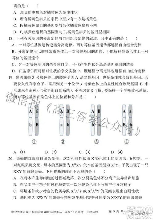 湖北省重点高中智学联盟2022年秋季高三年级10月联考生物试题及答案