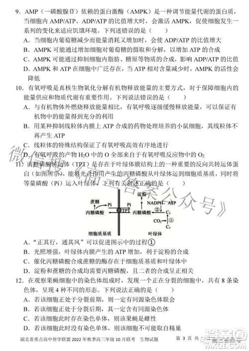 湖北省重点高中智学联盟2022年秋季高三年级10月联考生物试题及答案