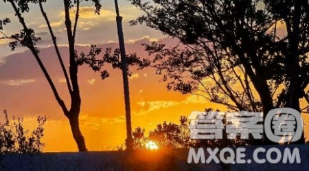 游览武山湖作文400字 写游览武山湖的作文400字 游览武山湖作文400字 写游览武山湖的作文400字