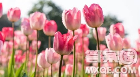 浪漫往事作文600字 以浪漫往事为题作文600字 浪漫往事作文600字 以浪漫往事为题作文600字