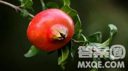 我们玩得真快活记叙文作文500字 关于我们玩得真快活的记叙文作文500字