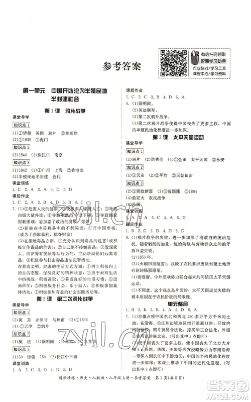 广东人民出版社2022同步精练八年级上册历史人教版参考答案