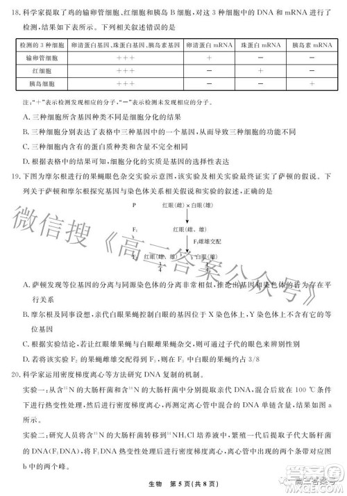 辽宁省名校联盟2022年高三10月份联合考试生物试题及答案