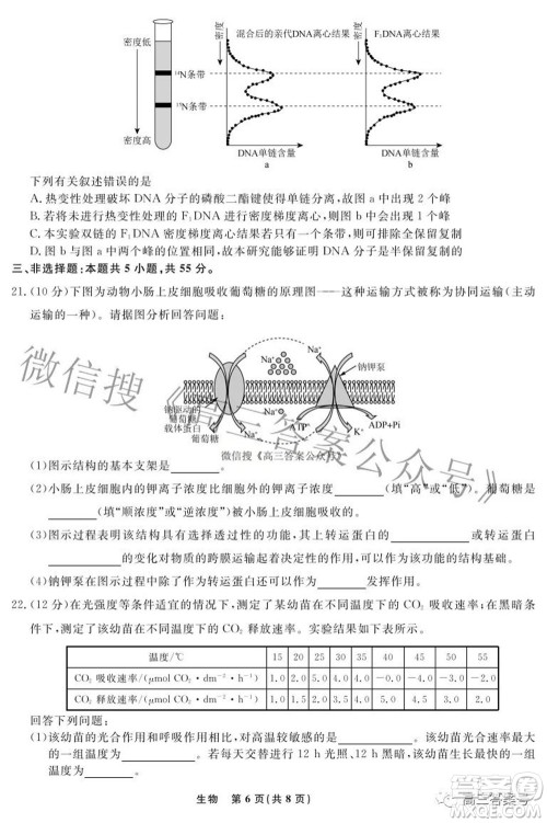 辽宁省名校联盟2022年高三10月份联合考试生物试题及答案 辽宁省名校联盟2022年高三10月份联合考试生物试题及答案