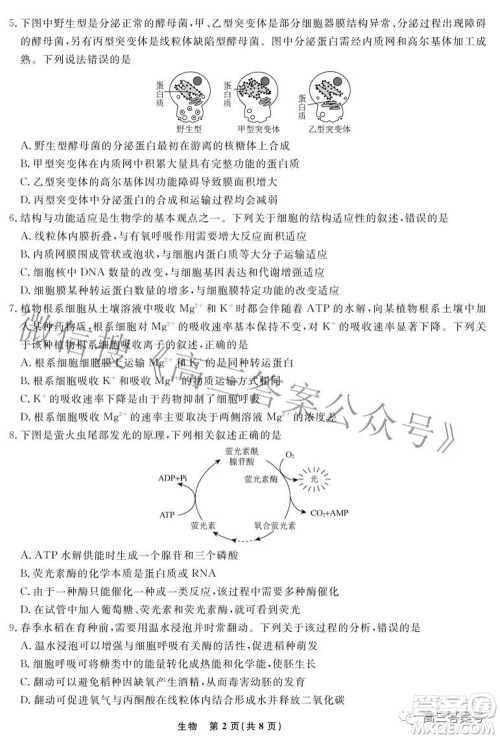 辽宁省名校联盟2022年高三10月份联合考试生物试题及答案