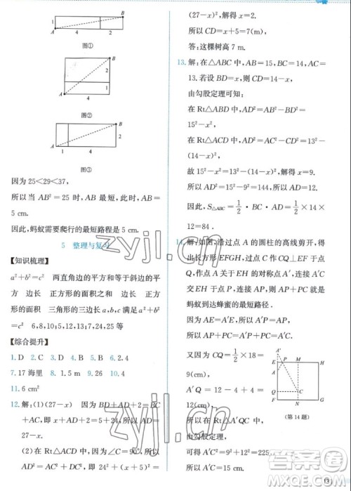 北京师范大学出版社2022秋课堂精练数学八年级上册北师大版答案