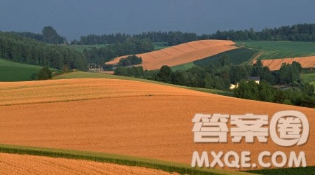 秋天的田野作文600字 关于秋天的田野的作文600字 秋天的田野作文600字 关于秋天的田野的作文600字