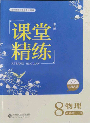 北京师范大学出版社2022秋课堂精练物理八年级上册北师大版答案