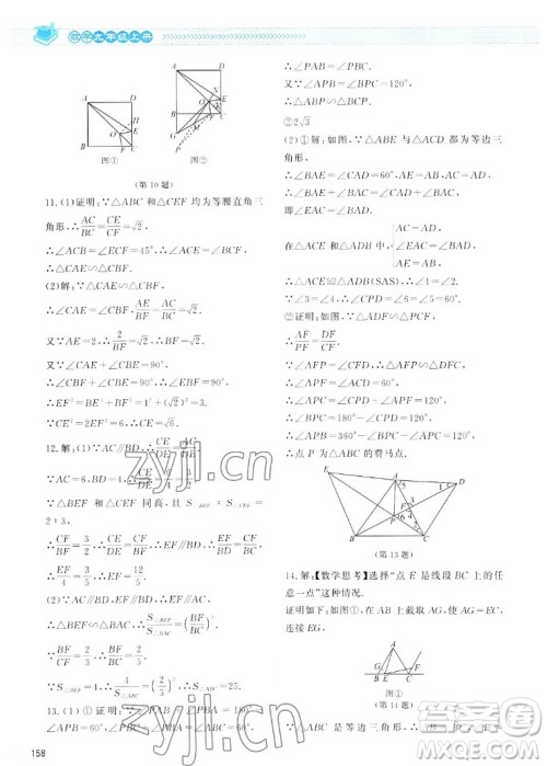 北京师范大学出版社2022秋课堂精练数学九年级上册北师大版四川专版答案