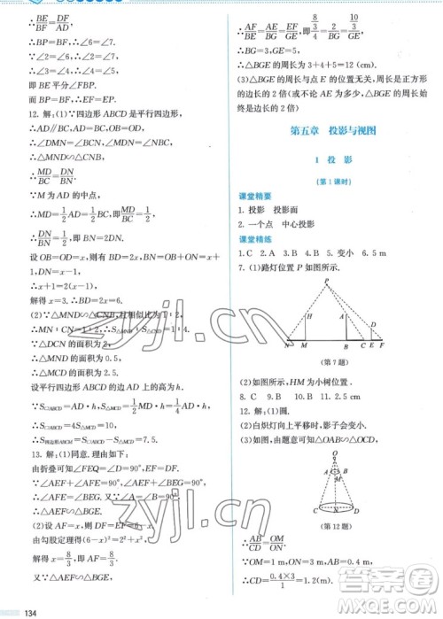 北京师范大学出版社2022秋课堂精练数学九年级上册北师大版答案