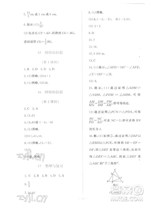 北京师范大学出版社2022秋课堂精练数学九年级上册北师大版福建专版答案