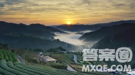 游览阿里山作文600字 关于游览阿里山的主题作文600字 游览阿里山作文600字 关于游览阿里山的主题作文600字