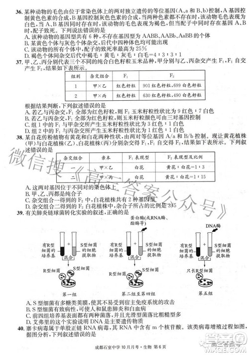 成都石室中学2022-2023学年度上期高2023届10月月考生物试题及答案 成都石室中学2022-2023学年度上期高2023届10月月考生物试题及答案
