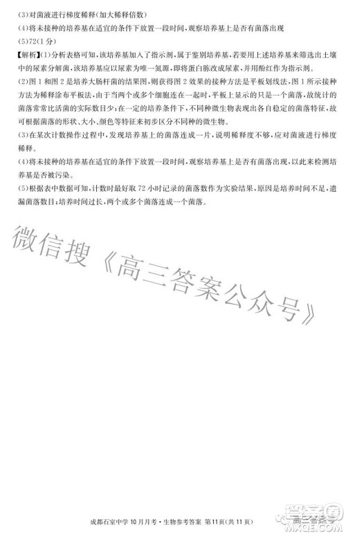 成都石室中学2022-2023学年度上期高2023届10月月考生物试题及答案 成都石室中学2022-2023学年度上期高2023届10月月考生物试题及答案