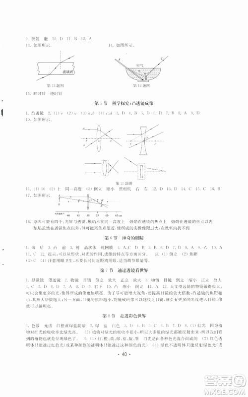 山东教育出版社2022初中基础训练八年级上册物理人教版参考答案