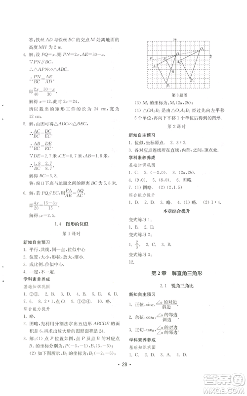 山东教育出版社2022初中基础训练九年级上册数学人教版参考答案