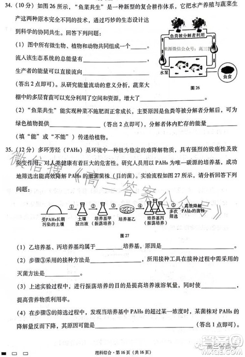 云南师大附中2023届高考适应性月考卷四理科综合试题及答案