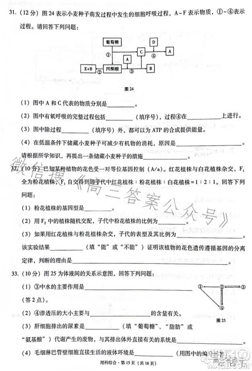 云南师大附中2023届高考适应性月考卷四理科综合试题及答案