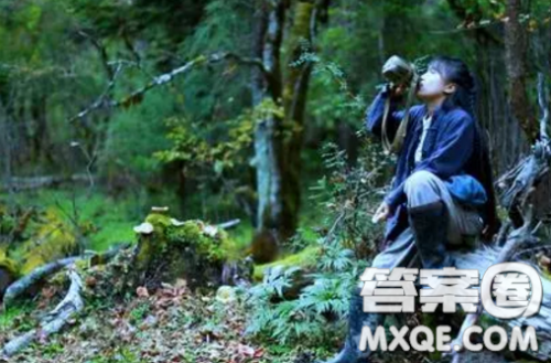 李子柒走红材料作文600字 关于李子柒走红的材料作文600字 李子柒走红材料作文600字 关于李子柒走红的材料作文600字