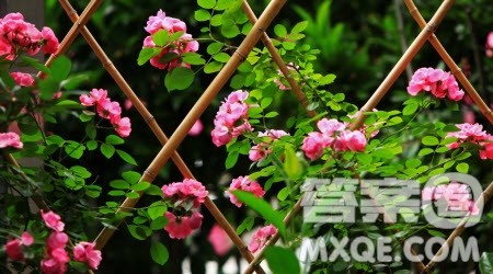 这就是我想要的生活作文600字 以这就是我想要的生活为题作文600字 这就是我想要的生活作文600字 以这就是我想要的生活为题作文600字