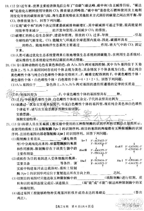 湛江市2023届高中毕业班调研测试生物试题及答案 湛江市2023届高中毕业班调研测试生物试题及答案
