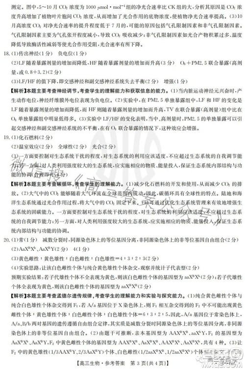 湛江市2023届高中毕业班调研测试生物试题及答案 湛江市2023届高中毕业班调研测试生物试题及答案