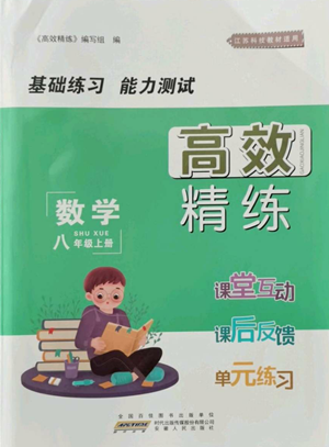 安徽人民出版社2022高效精练八年级上册数学苏科版参考答案