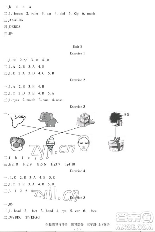 浙江人民出版社2022秋全程练习与评价三年级上册英语人教版答案 浙江人民出版社2022秋全程练习与评价三年级上册英语人教版答案