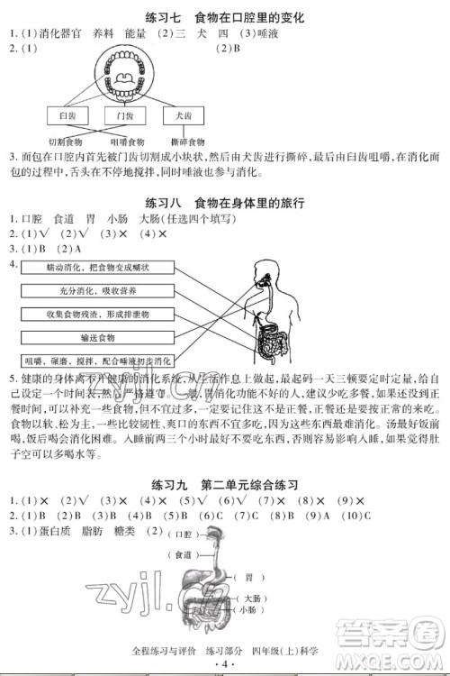 浙江人民出版社2022秋全程练习与评价四年级上册科学教科版答案 浙江人民出版社2022秋全程练习与评价四年级上册科学教科版答案