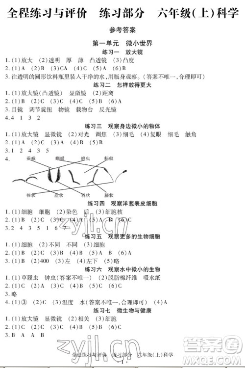 浙江人民出版社2022秋全程练习与评价六年级上册科学教科版答案