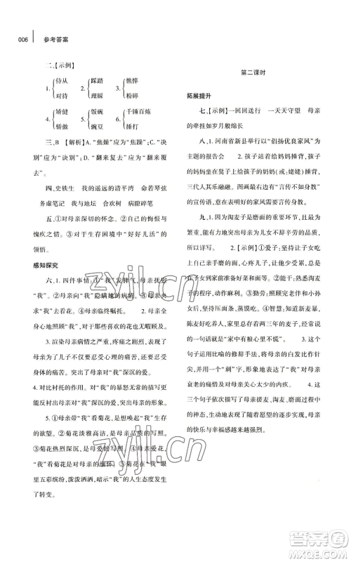 大象出版社2022基础训练七年级上册语文人教版参考答案 大象出版社2022基础训练七年级上册语文人教版参考答案