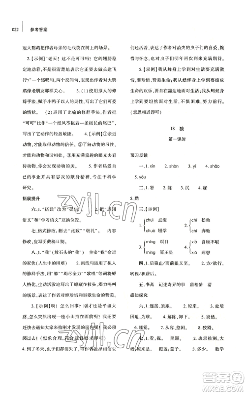 大象出版社2022基础训练七年级上册语文人教版参考答案