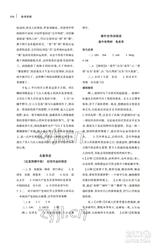 大象出版社2022基础训练八年级上册语文人教版参考答案 大象出版社2022基础训练八年级上册语文人教版参考答案