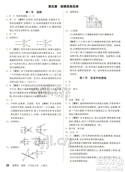 阳光出版社2022秋练就优等生同步作业数学八年级上册RJ人教版答案