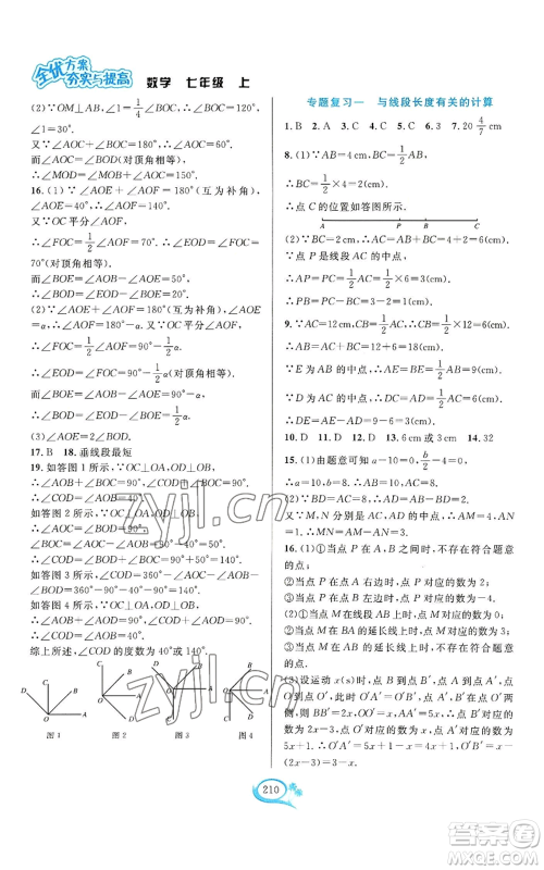 华东师范大学出版社2022全优方案夯实与提高七年级上册数学浙教版参考答案