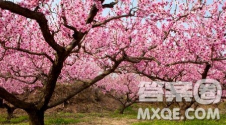 欢迎来到我家乡作文400字 写欢迎来到我家乡为题作文400字