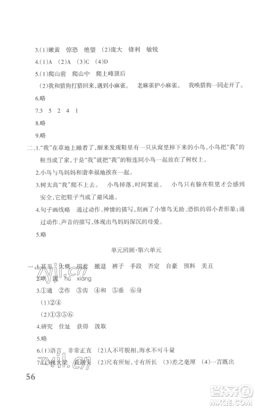 新疆青少年出版社2022优学1+1评价与测试四年级上册语文人教版参考答案