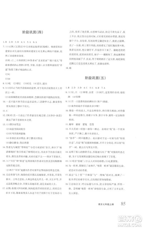 新疆青少年出版社2022优学1+1评价与测试七年级上册语文人教版参考答案